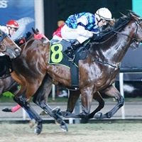 GREEN STAR IS DONNA LOGAN'S FIRST WINNER IN SINGAPORE FRIDAY 27TH APRIL